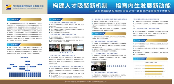 ST新亚公司新闻